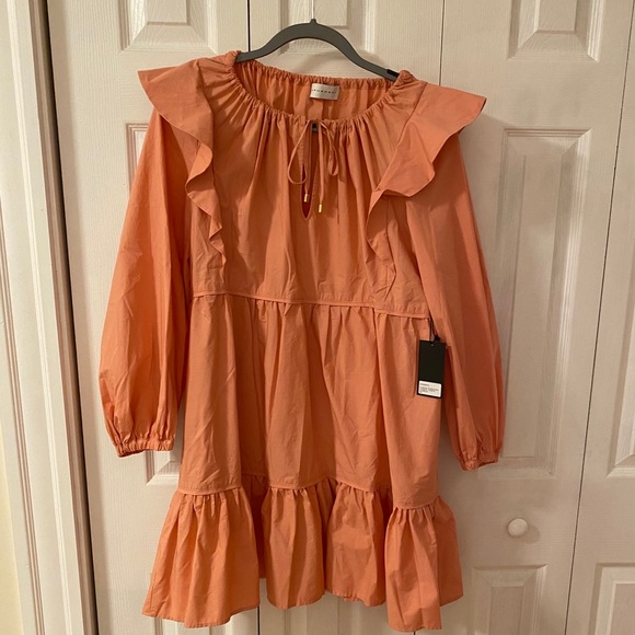 NWT: Ephemera Pasteque Trapeze Mini Dress M/L - Picture 5 of 7